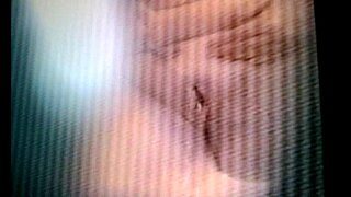 Ŝ�监视我的cuñada1